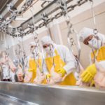 Inside UK factory hit by coronavirus where workers can’t afford to be sick coronavirus meat factory