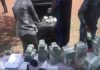 NPP primaries