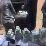 NPP primaries