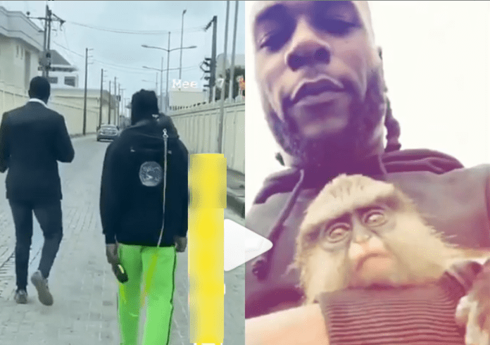 Burna Boy and his monkey