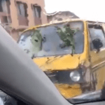 Social media users react to video of Nigerian driver who uses leaves as his car’s wiper [Watch]