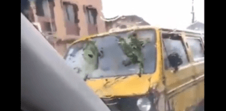 Social media users react to video of Nigerian driver who uses leaves as his car’s wiper [Watch]