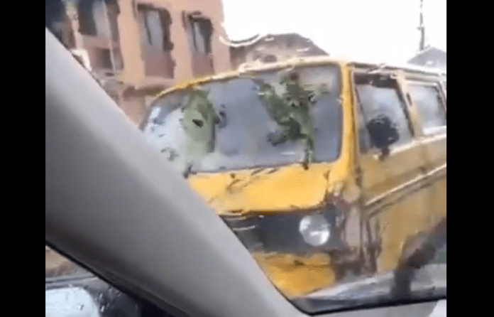 Social media users react to video of Nigerian driver who uses leaves as his car’s wiper [Watch]