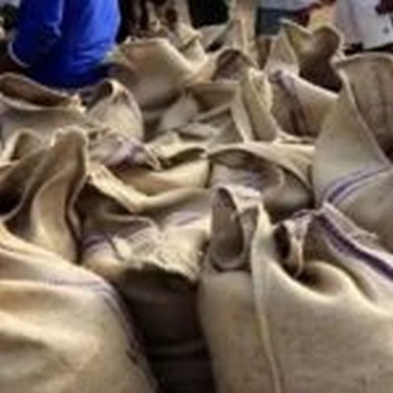 Truck with 200 bags of cocoa beans impounded