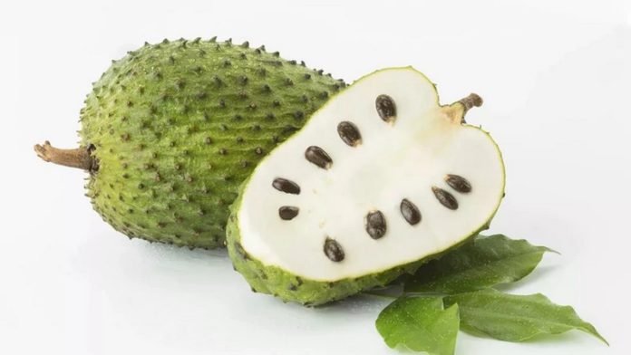 Soursop “Aluguntugui”