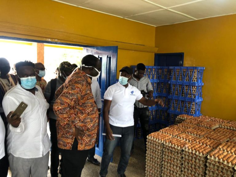 1D1F: Govt to inject ¢22m to revitalise Darko Farms