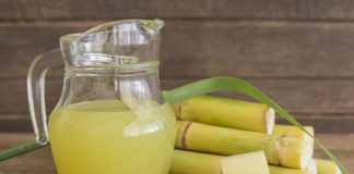 sugarcane