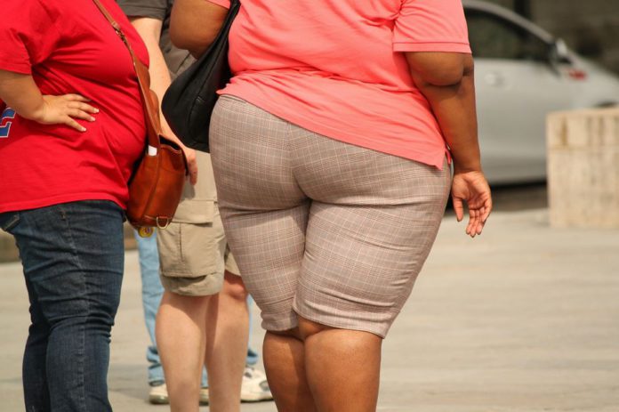 Fat