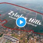 Zallywood City Project