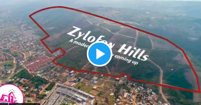 Zallywood City Project