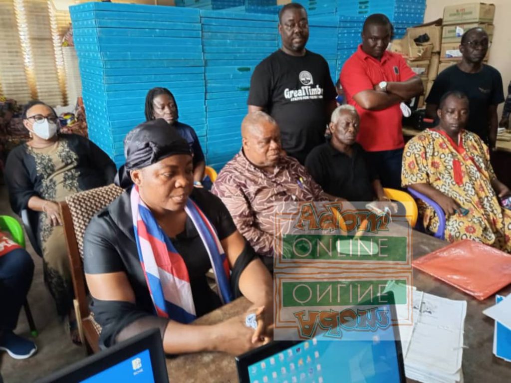 NPP executives march Ekow Hayford's widow to file nomination at EC's office