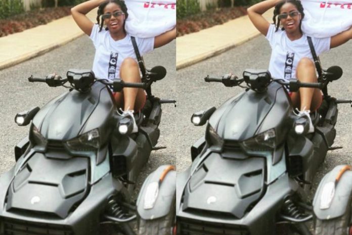 mzvee motor (Copy)