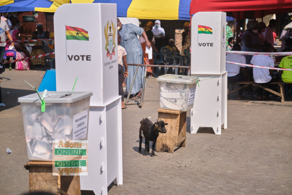 It was such a funny sight to behold at Rashidiya Islamic and English School No 2 in Accra when some goats paraded the grounds of the polling centre whiles electorate voted. Photo by Sammy Moore | Adomonline.com