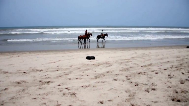 Police enforce COVID-19 restrictions at Titanic beach