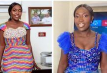 Dakoa Newman ranked Best First time MP Dakoa Newman, Okaikwei South MP