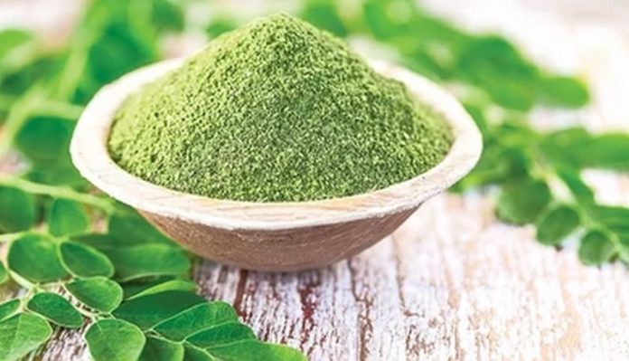 moringa