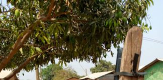 Poor mobile network frustrates Atwima residents