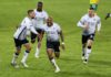 Andre Ayew celebrates with Swansea City teammates