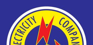 Electricity Company of Ghana (ECG)