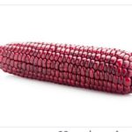 'Abele Azani', the red maize