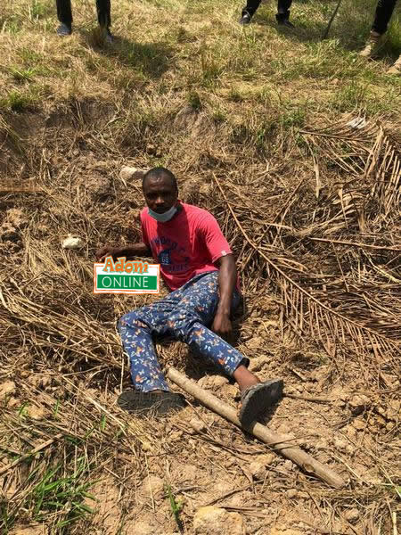 farmer kills okada man in farm