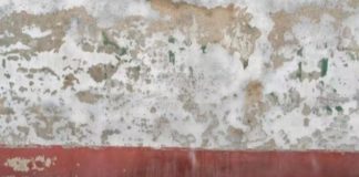 wall