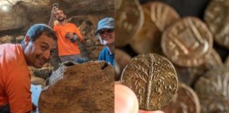 Dozens of fragments of 1,900-year-old biblical scroll and coins found in Judean Desert, along with 6,000-year-old mummy.