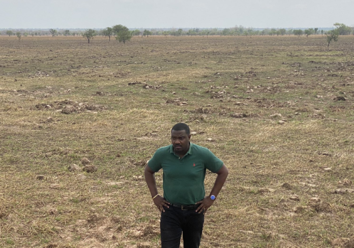 John Dumelo