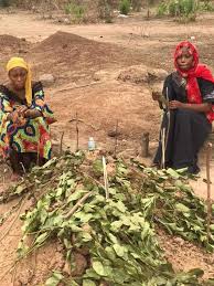 PHOTOS: Hearbreak as 2 daughters of Sheikh ALI Kalamu Maikano 'cry' at his graveside