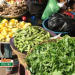 Dome market