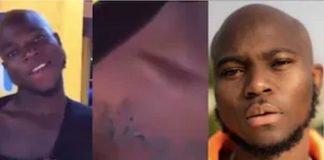 king promise fan