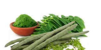 moringa