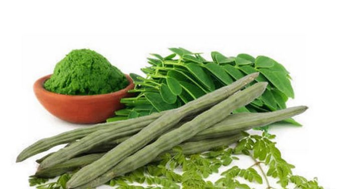 moringa