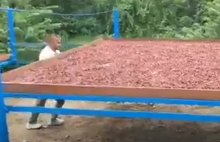 China’s new interest in cocoa: No cause for worry – Finance Minister