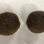 The cow dung cakes found in a suitcase that arrived on an Air India flight at the Dulles Washington airport in the US. Photo: US Customs and Border Protection