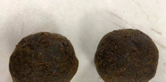 The cow dung cakes found in a suitcase that arrived on an Air India flight at the Dulles Washington airport in the US. Photo: US Customs and Border Protection