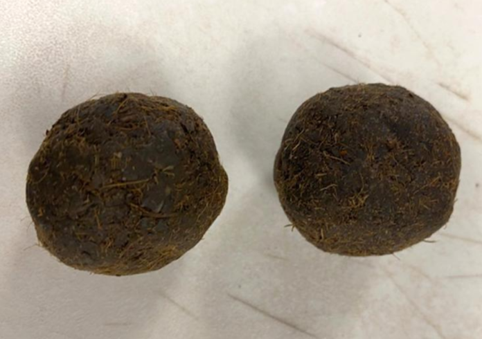 The cow dung cakes found in a suitcase that arrived on an Air India flight at the Dulles Washington airport in the US. Photo: US Customs and Border Protection