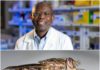 Ghanaian professor awarded $3.3 million grant to research into ‘sleeping sickness’