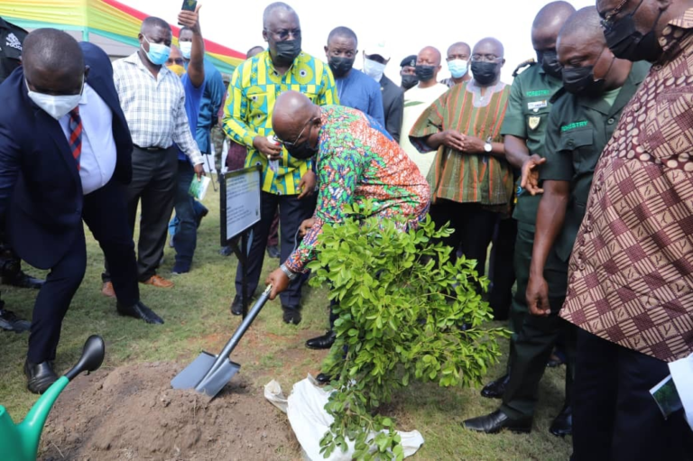 Green Ghana Day comes off Friday, June 9