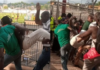 Kotoko supporters heckling journalist