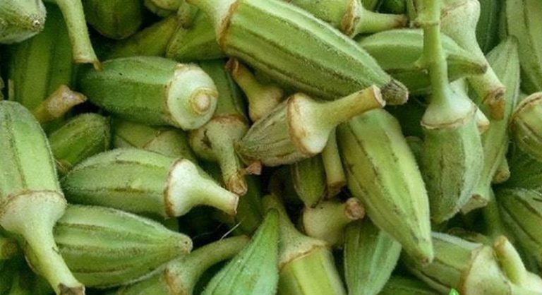 Health benefits of okra are wonderful