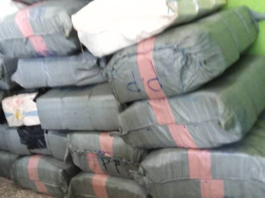 GIS intercepts 1,550 parcels of Indian hemp at Klave border