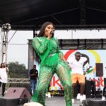 Patrons enjoy thrilling performances at 16th Ghana Party in the Park-UK