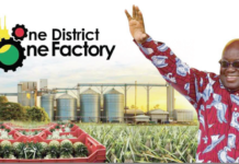 Major boost for companies under 1D1F as Parliament approves tax waivers