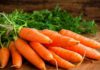 carrot