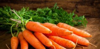 carrot