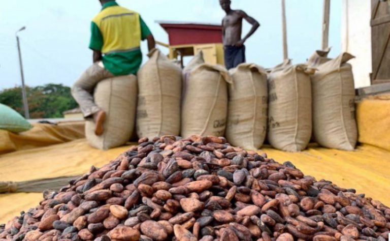 Illegal mining effect on cocoa production can’t be solved by COCOBOD alone – ISSER Researcher
