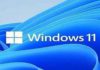 Windows 11