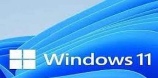 Windows 11