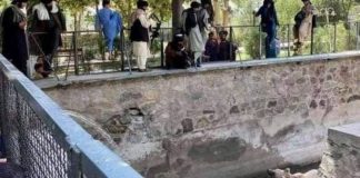 Taliban fighter ‘points gun at miserable bear at Kabul Zoo'